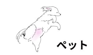 ペットのフォルダへ繋がるアイコン